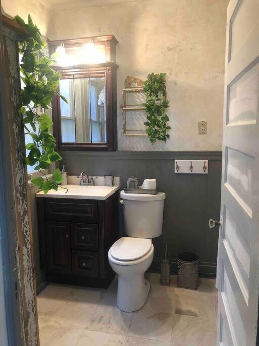 Redefined Alchemy - Bright, Eclectic, Pretty Apt 3E Little Falls Exteriör bild
